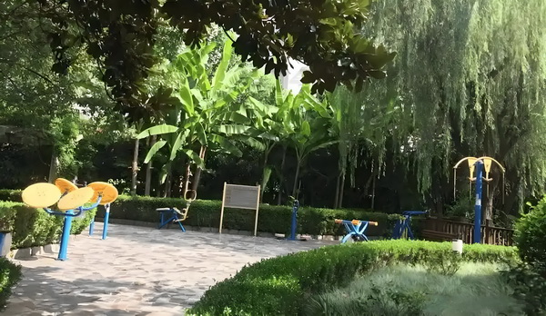 笑亦轻